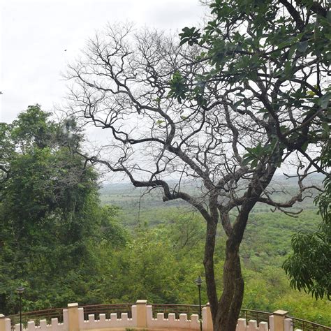 APTDC ANANTHAGIRI, VIKARABAD (Hyderabad) - Hotel Reviews & Photos ...