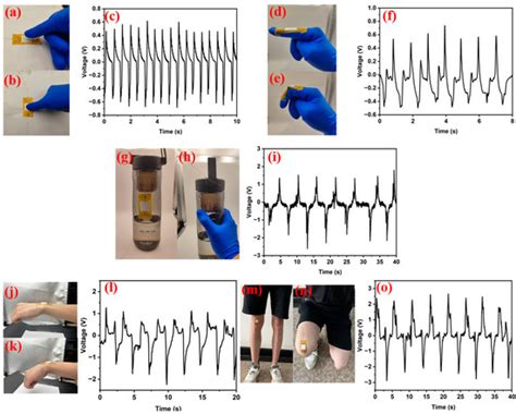 Morphology-Dependent Behavior of PVDF/ZnO Composites: Their Fabrication ...
