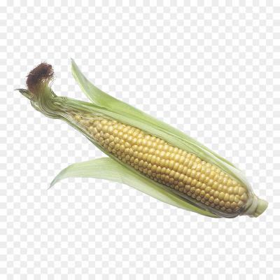 Corn Transparent Isolated Png - Pngsource