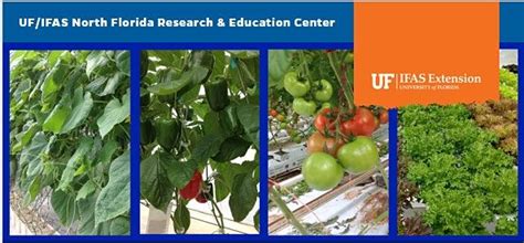 Introduction to Growing Crops in Protective Structures, UF/IFAS NFREC ...