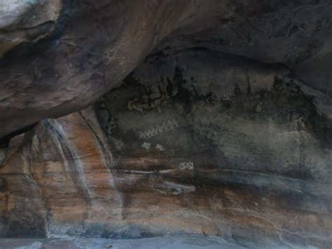 Fossil of world’s ‘oldest animal’ found in Madhya Pradesh | Bhopal News ...