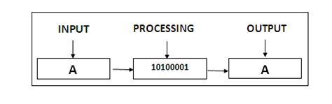 Image result for IPO Cycle Computer