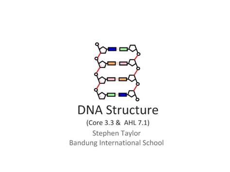 Image result for Structure of DNA Class 12
