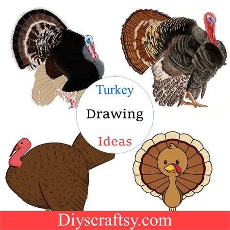 20 Turkey Drawing Ideas - How To Draw Turkey - DIYsCraftsy