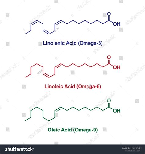Omega 3 Y Omega 6 Estructura Quimica at Arthur Ritchie blog