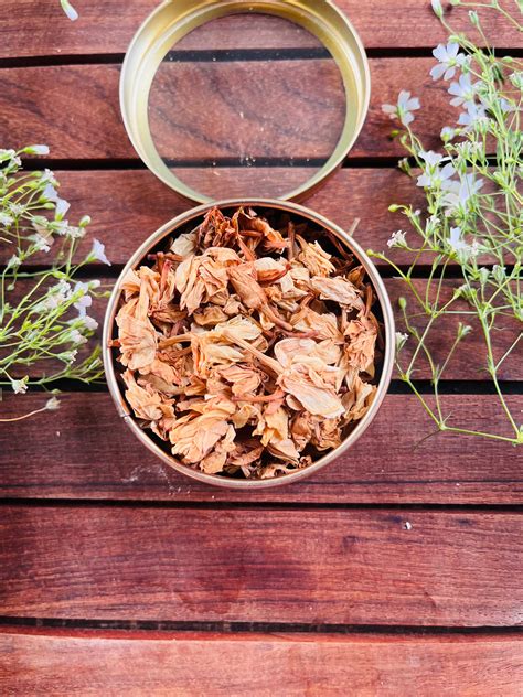 Tea Chi - Online Tea Shop for Herbal Wellness