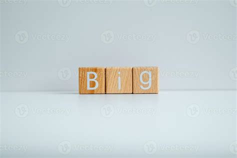 Image result for Python Big Text