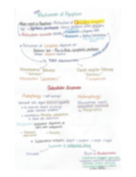 SOLUTION: Clinical pathology apoptosis physiologic vs pathologic ...