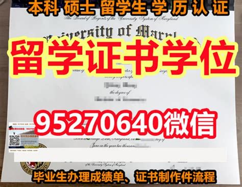 《西悉尼大学毕业证仿冒文凭毕业证》 | PPT