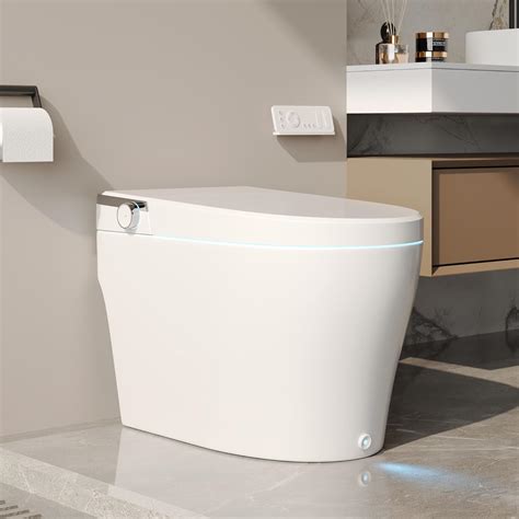 DeerValley Smart Toilet, One Piece Tankless Toilet with Bidet Built in ...