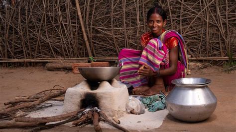 Millets: The lost and found crop - thanks to FAO-backed community seed ...