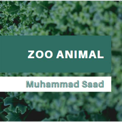 Image result for Scikit Python Zoo Animals Dataset