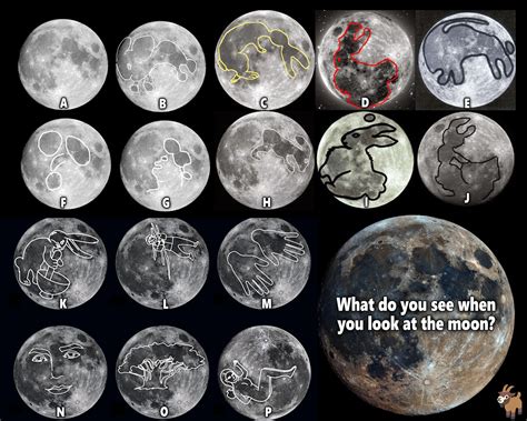 Man On The Moon Face