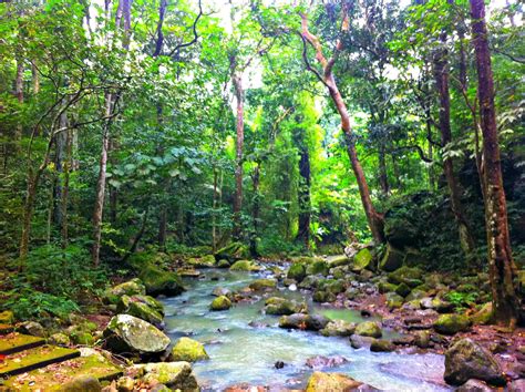 15 Incredible Places You'll Find in the Province of Laguna, Philippines | Incredible places ... - where to go in laguna philippines