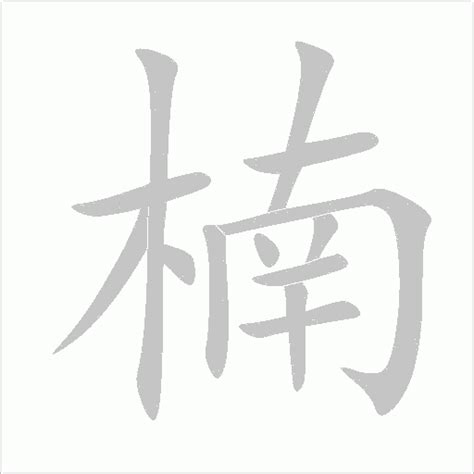 「楠」字的筆順、筆劃及部首 - 香港小學字詞表 - 根據教育局指引製作