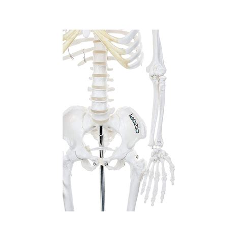 Labzio: Your One-Stop Shop for Premium Labware – labzio