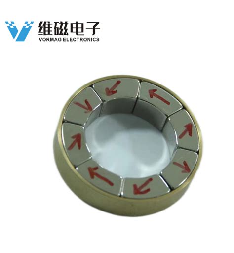 Image result for Halbach Array Linear Motor