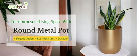 ecofynd 4.3 inches Round Metal Planter for Home Decor, Pack of 1 (Gold ...