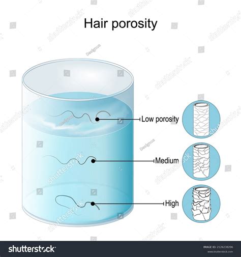 Hair Porosity Test Hair Float Glass: เวกเตอร์สต็อก (ปลอดค่าลิขสิทธิ์ ...