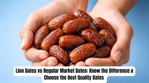 Lion Dates vs Regular Market Dates: Know the Difference & Choose the B