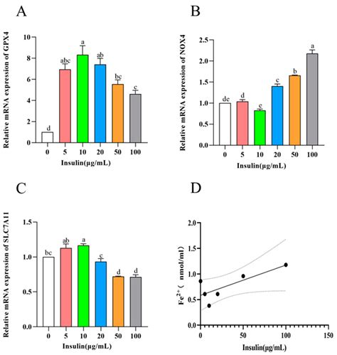 Effects of Insulin on Proliferation, Apoptosis, and Ferroptosis in ...