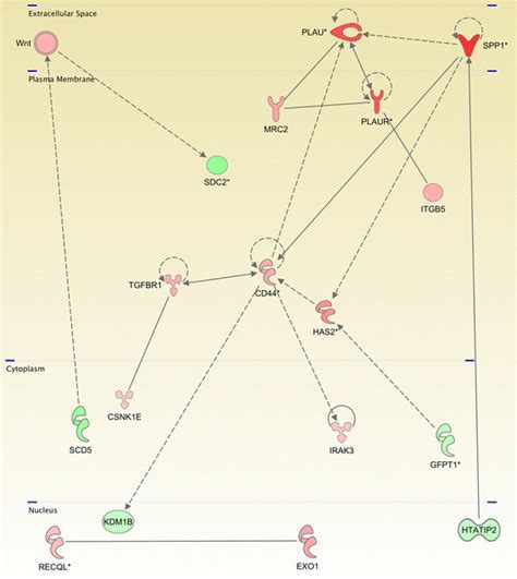 Image result for Cell Signaling Process
