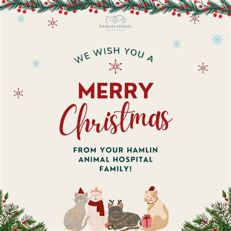 Hamlin Animal Hospital (@hamlinanimalhospital) • Instagram photos and ...