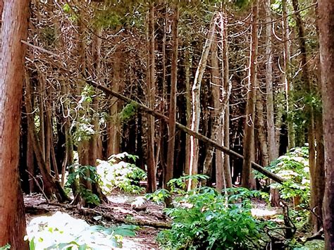 SEGWAY THE DOOR TOURS (2026) All You Need to Know BEFORE You Go (with ...