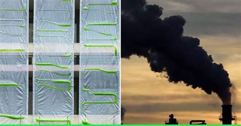 हवा से 20 पेड़ों के बराबर कार्बन डाइऑक्साइड खींचने की क्षमता वाला बायो ...