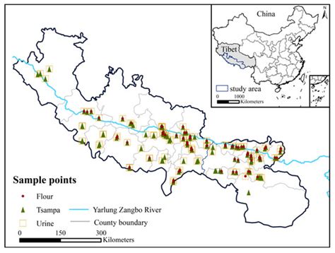 Selenium and Zinc Intakes of Staple Grains and Their Correlation with ...