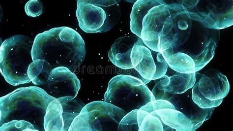 Image result for Loop Animation Particle