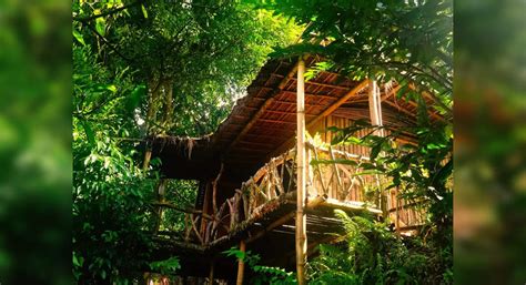 A folk rapper's account of eco-living in the Himalayan village of ...