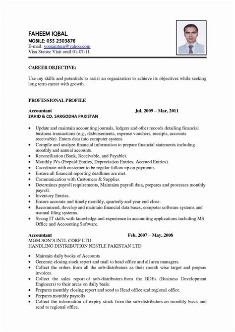 Great Resume Examples 的图像结果