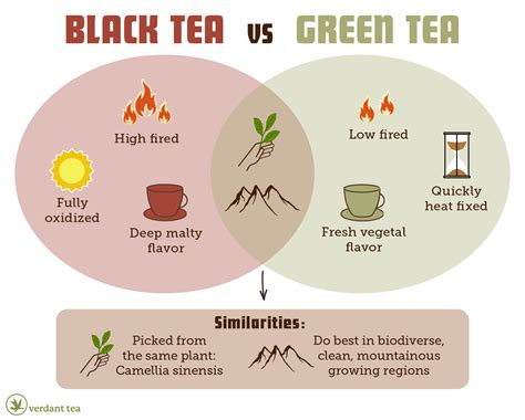 Assam Tea Vs Black Tea: Understanding The Differences – ZGURK