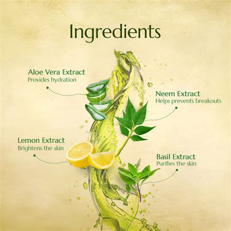 Neem Aloe Vera Face Wash | Antibacterial & Purifying Properties | Astaberry