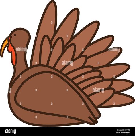 Turkey Bird Drawing High Resolution Stock Photography and Images - Alamy