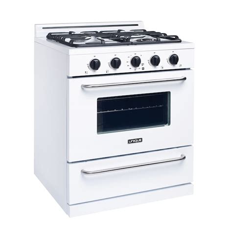 UNIQUE Off-Grid 30-in 4 Burners 3.9-cu ft Freestanding Liquid Propane ...