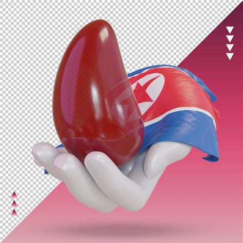 3d world blood donor day north korea flag rendering front view ...