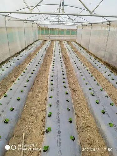 Mulching Film - HDPE Mulching Sheets Manufacturer from Bharuch