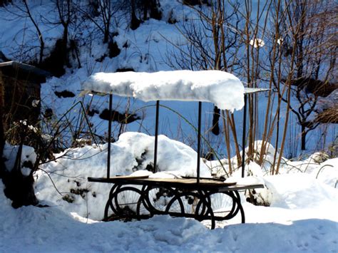 Manali in Winter | Manali in December | Snowfall in Manali | TimesTravel