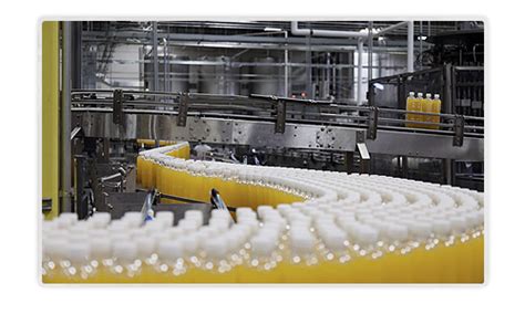 Mohan Exports (India) Pvt. Ltd