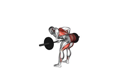 Barbell Romanian Deadlift To Row: Video Guide & Tips