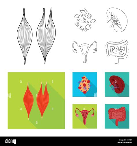 Biology Logo 的图像结果