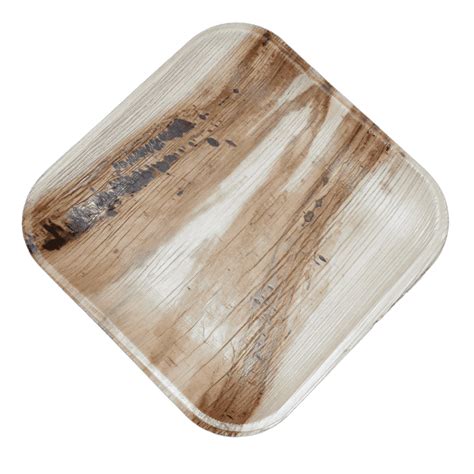 Areca 8 Inch Square Plate | Eco-Friendly Disposable – Ecoware