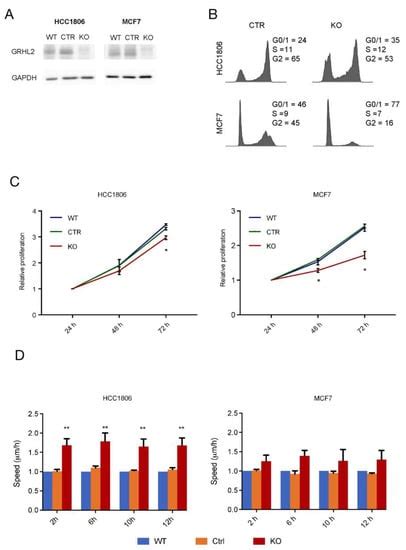 GRHL2 Regulation of Growth/Motility Balance in Luminal versus Basal ...