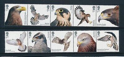 Image result for DDR Extreme Memory Card