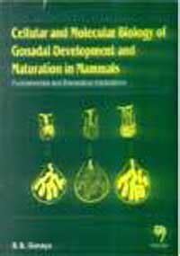 Buy Cellular and Molecular Biology of Gonadal Development and ...