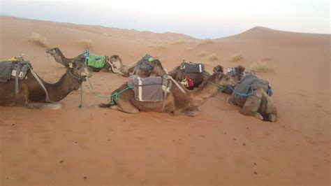 AUBERGE LA TRADITION (Merzouga) - Inn Reviews & Photos - Tripadvisor