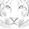 The inputs in the PLD is given throughSelect oneO a. NOR gatesO b. OR ...