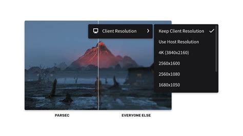 Parsec: Secure, Real-Time Remote Desktop Software | Unity